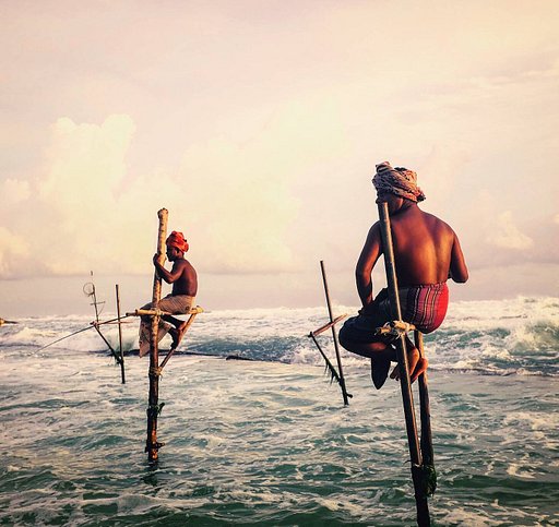 Travel and Documentary Awards 2021