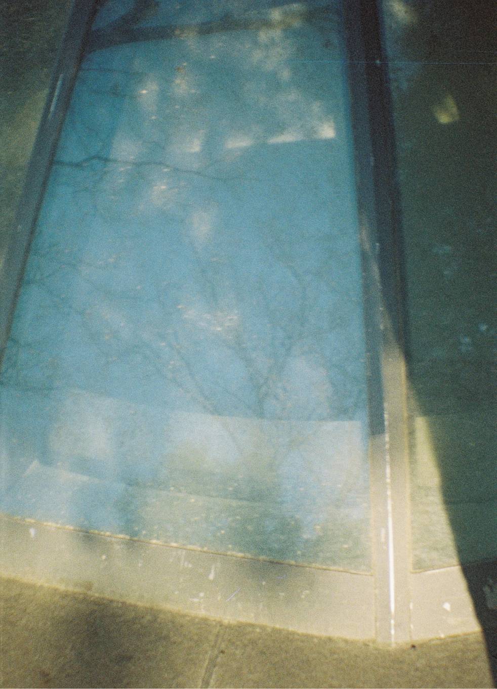 © 费婧 | 使用 Lomourette 半格胶片相机连闪光灯 - Water Lilies莫奈睡莲特别版 &amp; LomoChrome Color '92 ISO 400 135 日落版拍摄