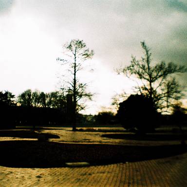 lomographicleif