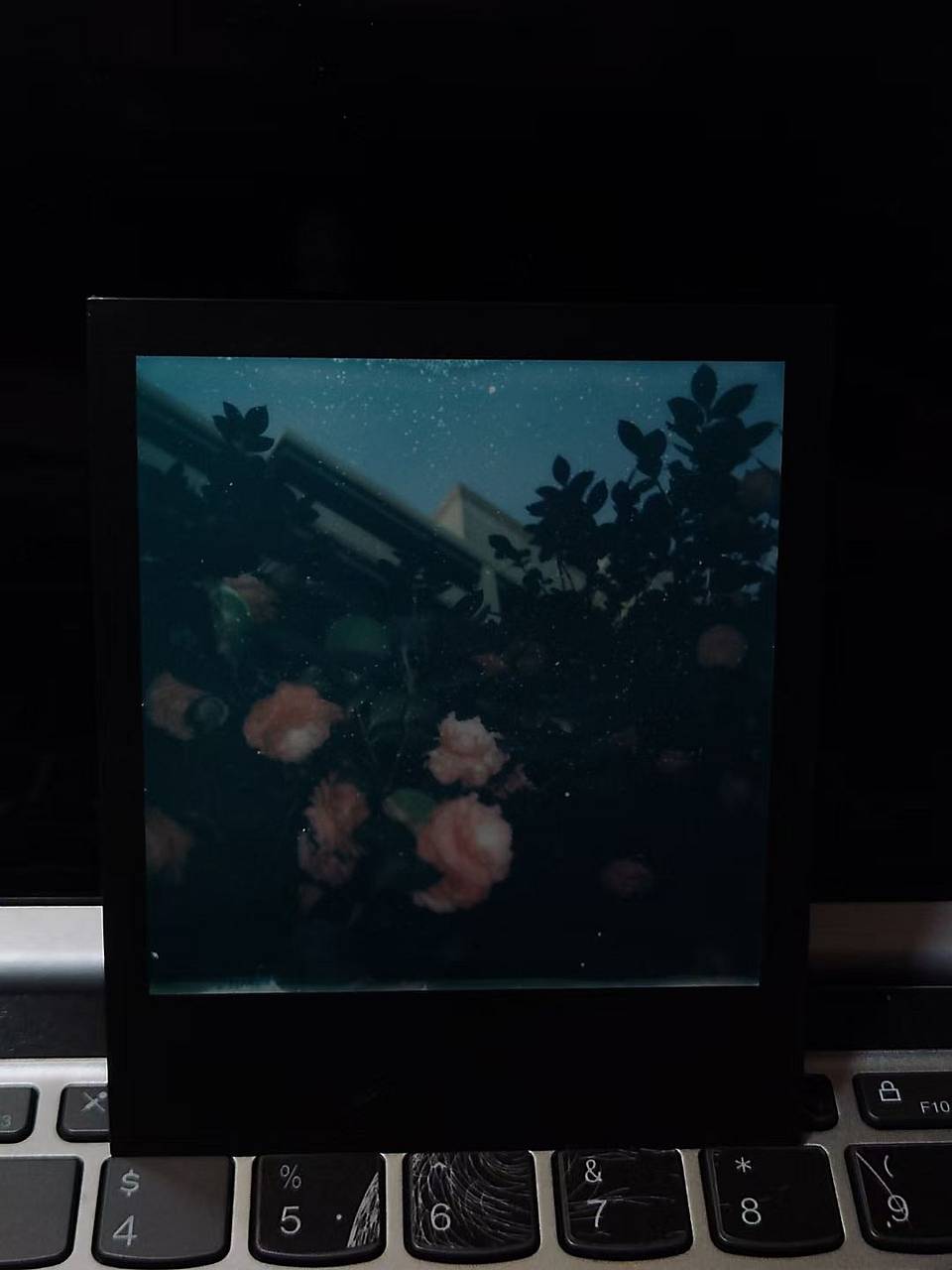 由 © Iris 拍摄