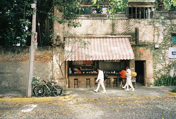 A Photographer’s Travel Guide to Guadalajara, Mexico: Best Photo Spots & Art Highlights