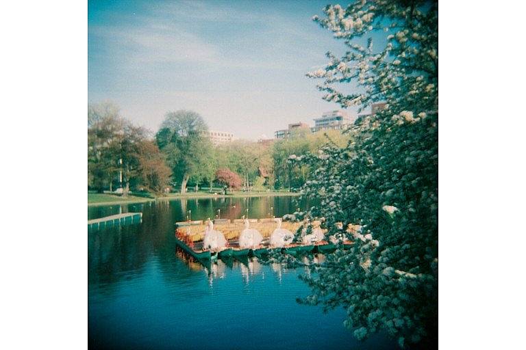 波士顿天鹅船（Boston Swan Boat） 是波士顿一项历史悠久的传统，也是观赏公共花园的绝佳视角。这项游船项目自 1877 年运营至今，灵感来源于理查德·瓦格纳的歌剧《罗恩格林》——剧中一位骑士由天鹅牵引，横渡水面。天鹅船已成为波士顿的文化地标，也很适合在水面上做一些有趣的影像实验。 (Photo by milsa)