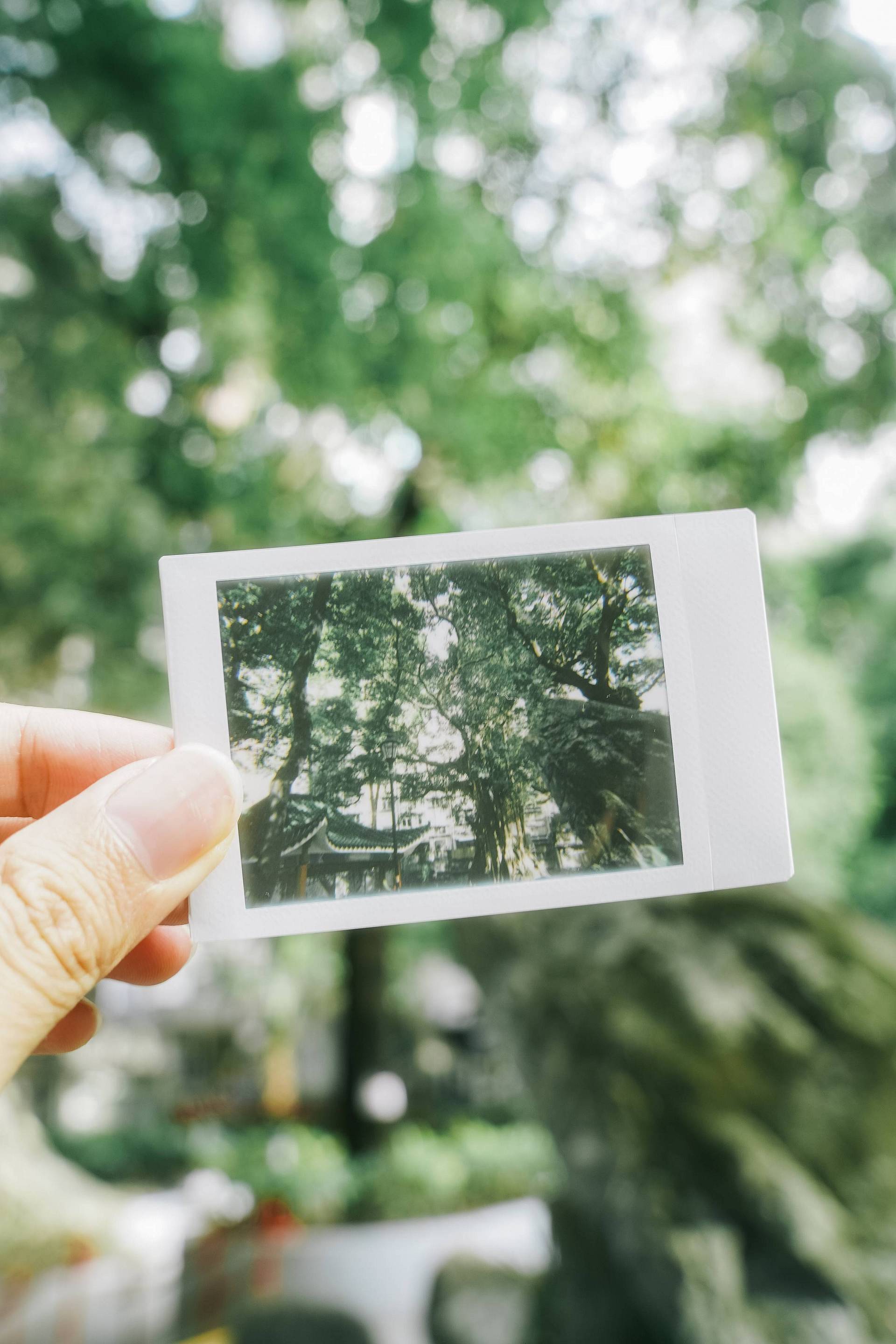 ©️ Enoch Wong ｜ Lomo’Instant Automat 拍立得相机－白色版本