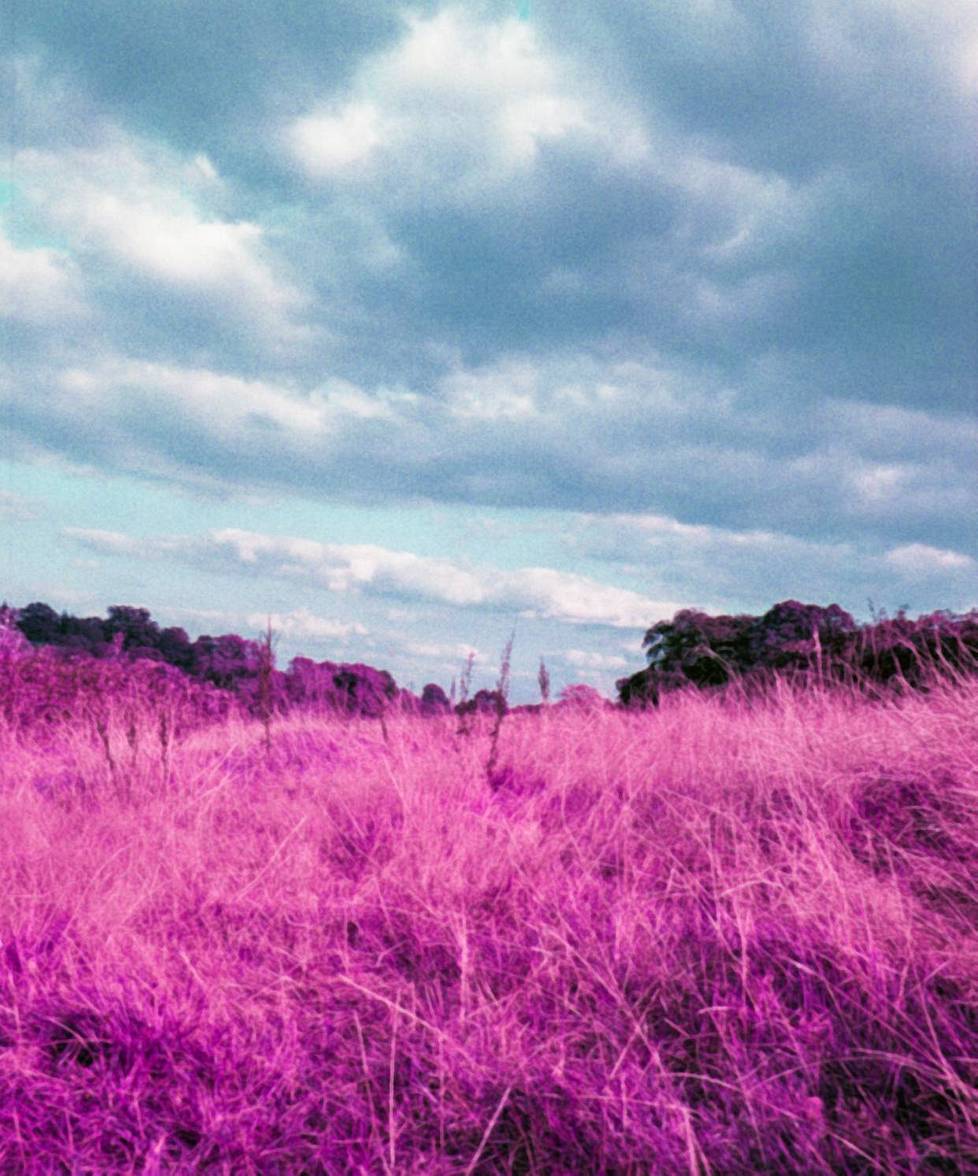 © Alia Romagnoli| LomoChrome Purple 120