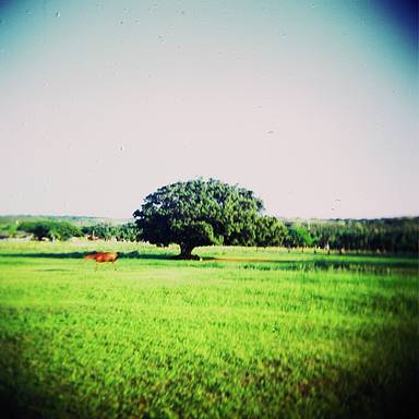 mperry