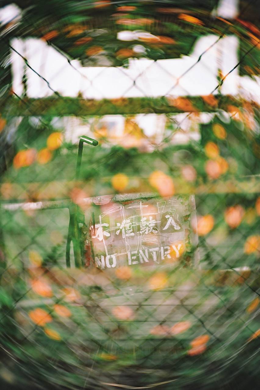 ©️ Kevin ｜ New Petzval 55mm f/1.7 MKII 镜头
