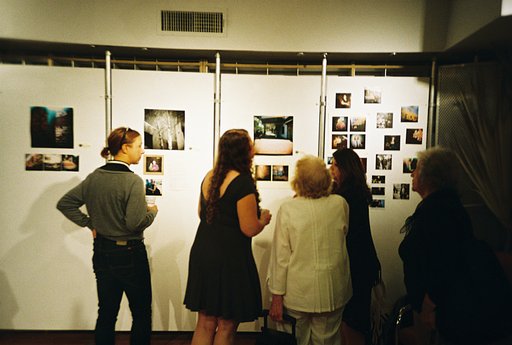 The Image and Poetry Project with Nancy Siesel and the Diana F+