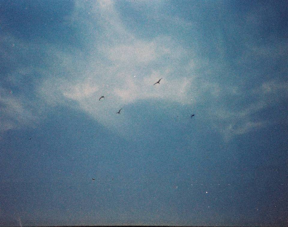 © @marchaeffner | Lomomatic 110 自动玻璃镜头胶片相机 & LomoChrome Classicolor ISO 200 110 经典版彩色负片胶卷