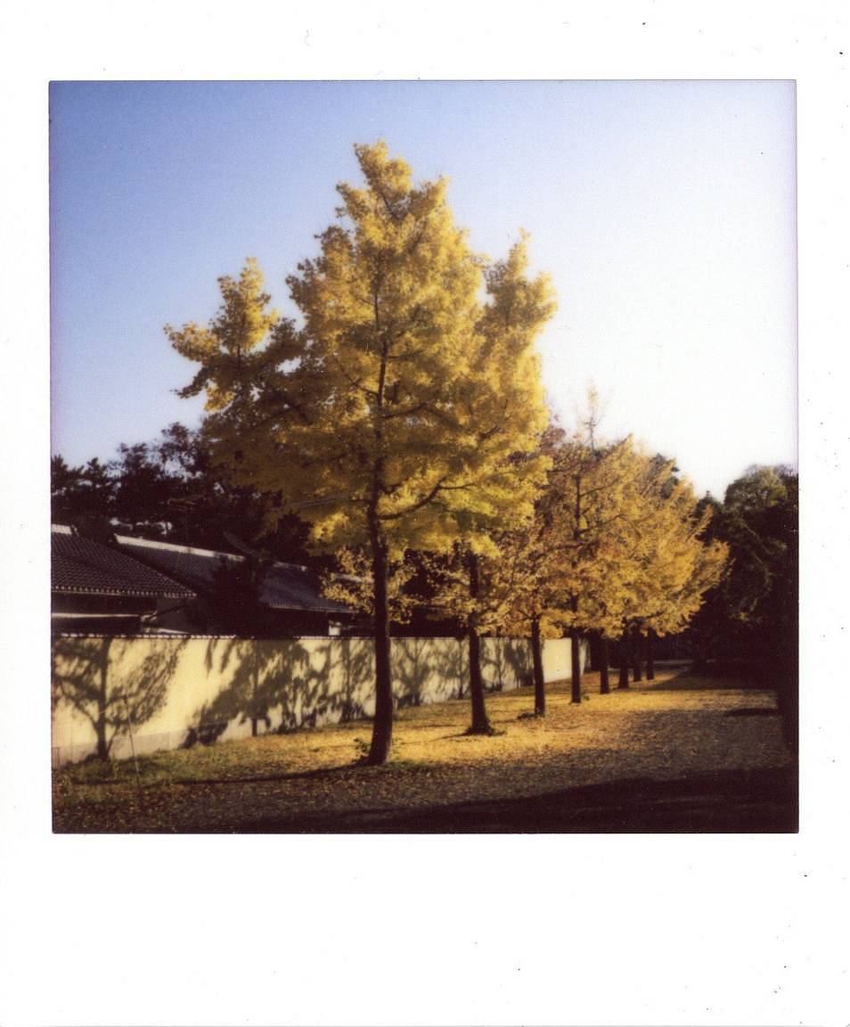 Sean 和 Tennbo Lotman 用 Lomo'Instant Square 方形拍立得相机 拍摄的照片