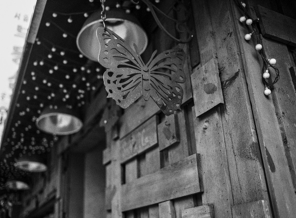 Film: Kodak Plus-X Aerographic 2402 · Lomography