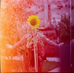 写真 · Lomography