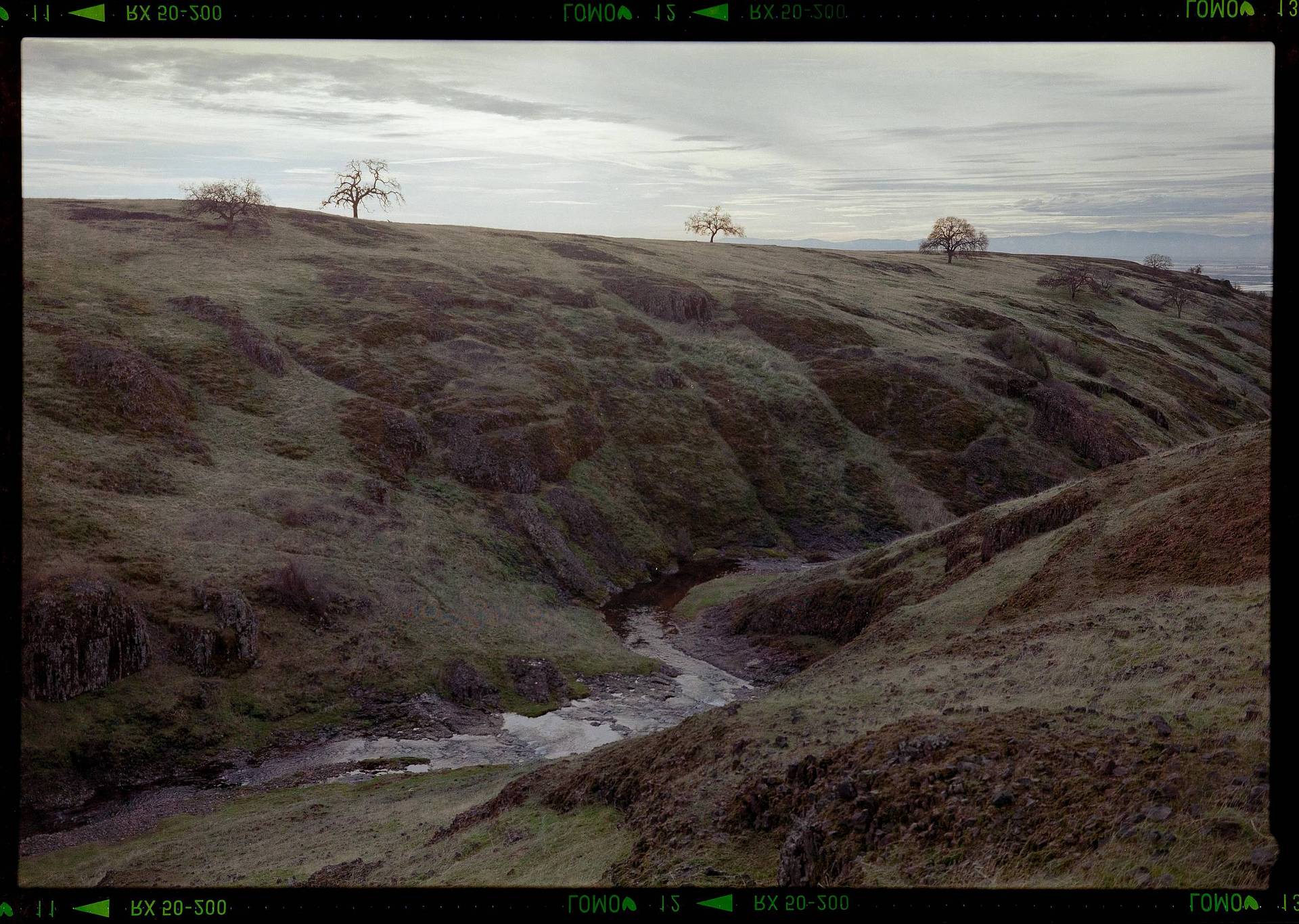 Photo by Brendan Flesher