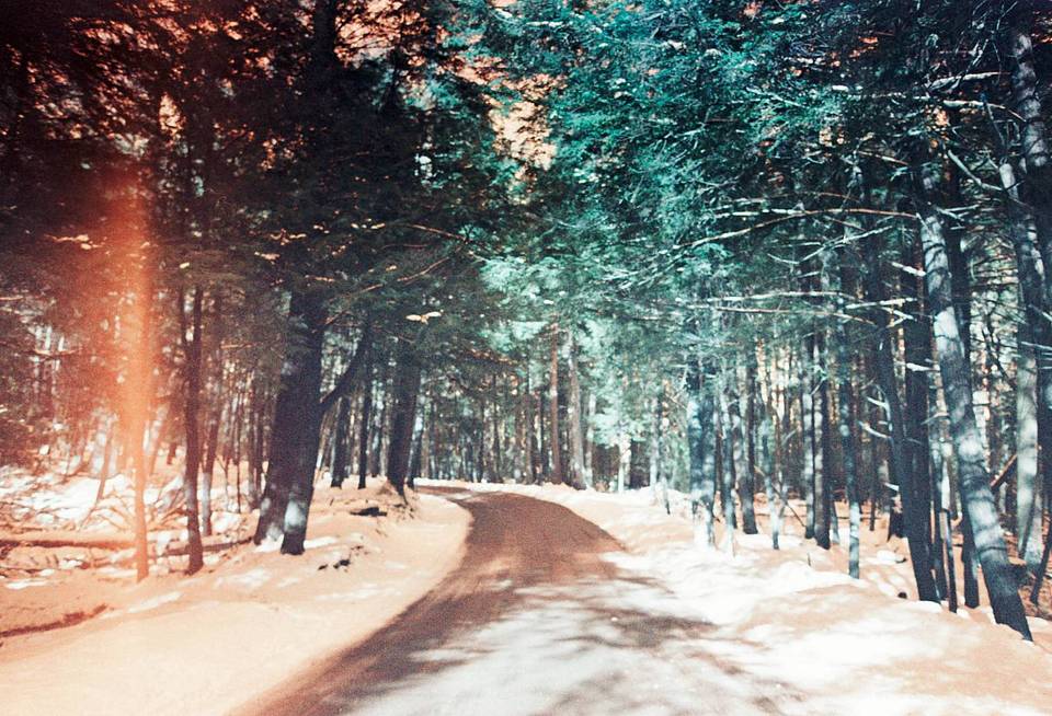 如何用 Lomochrome Turquoise 绿松石胶片温暖你的冬天？