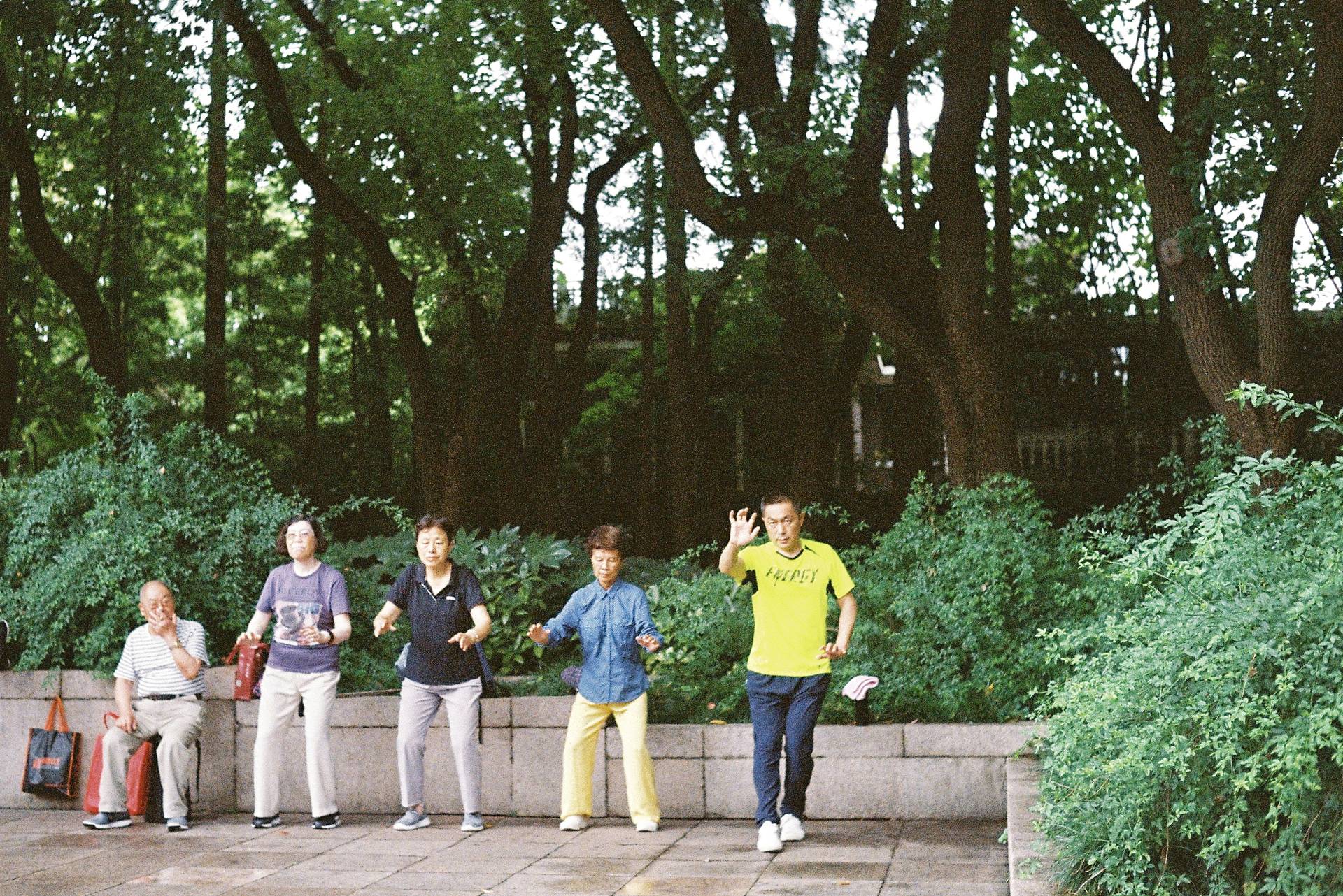 © 科塔萨尔 | 使用 Lomo LC-A+ 胶片相机 & Lomography 135 ISO 400 彩色负片 拍摄