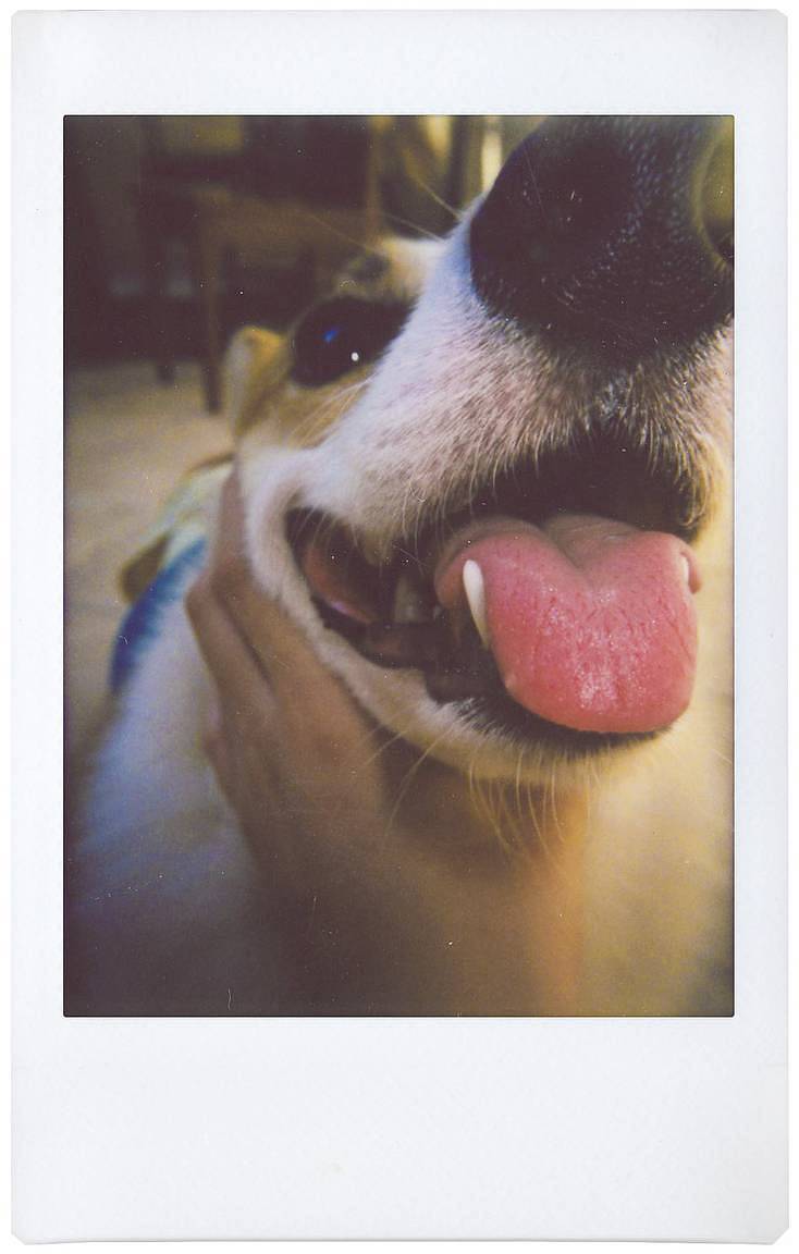 Left: Lomo'Instant 拍立得相机 | Center: Lomo'Instant Automat 自动拍立得相机套装 | Right: Lomo'Instant Automat Glass 广角玻璃镜头拍立得相机 (使用近摄镜)