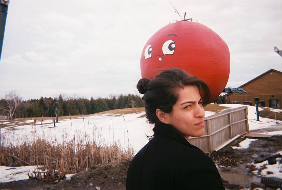 Roadside Attractions 
