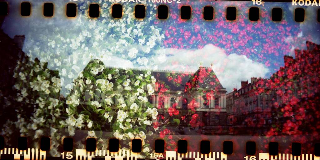 Photos by elelostdog, enamor3d kikass &amp; calamity