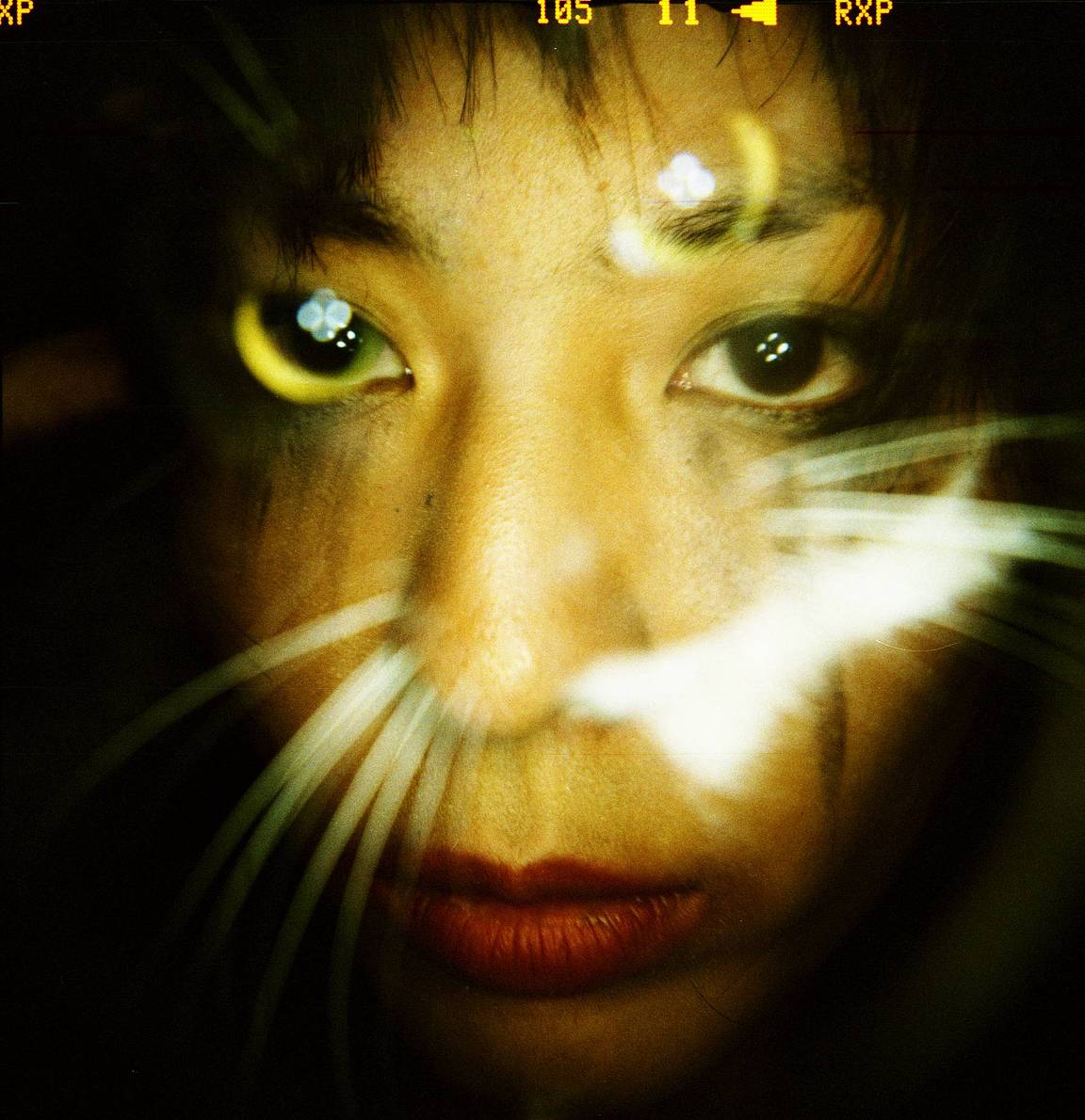 Phantasmagorical Portraits 