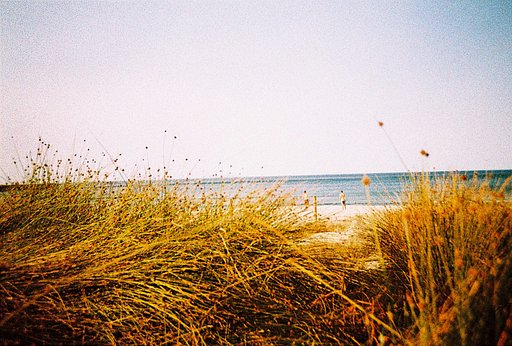 Community Gallery: A Playlist for When the Leaves Fall