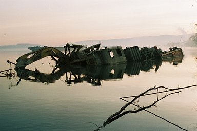 Lens: Auto Miranda 50mm f1.9 · Lomography