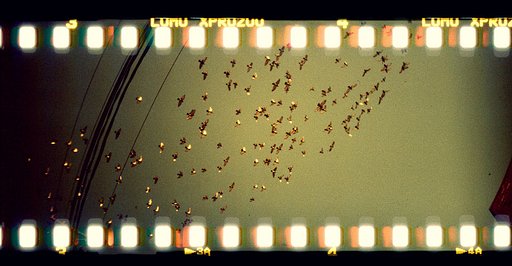 LomoAmigo Charlie Wagers Tries out the Sprocket Rocket