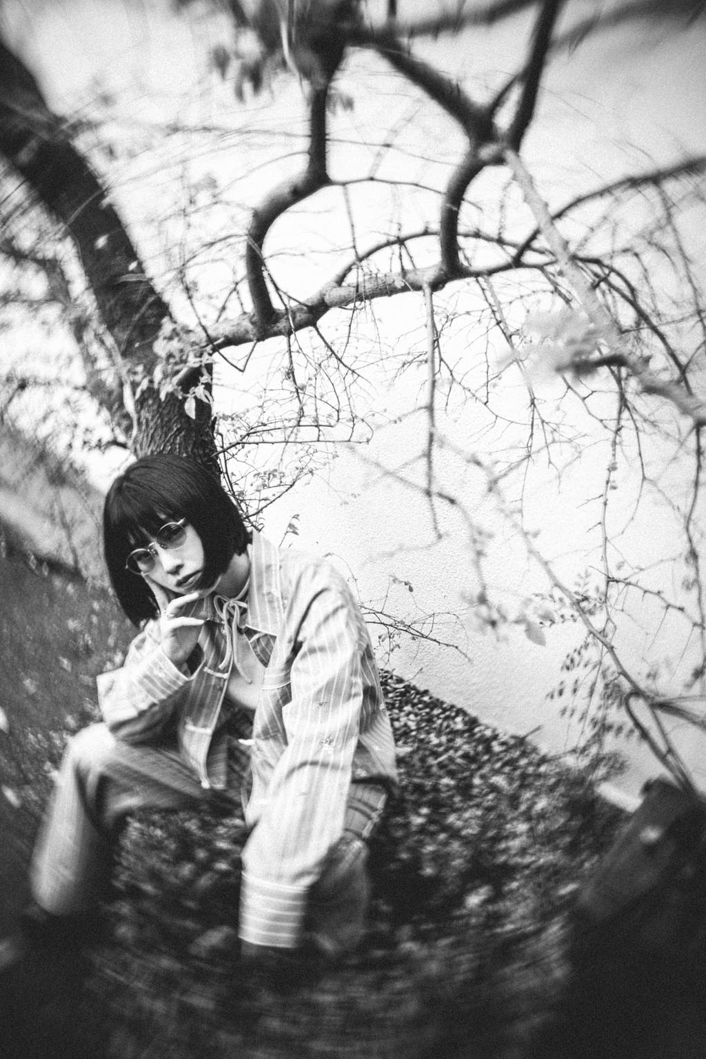 Art Lenses · Lomography