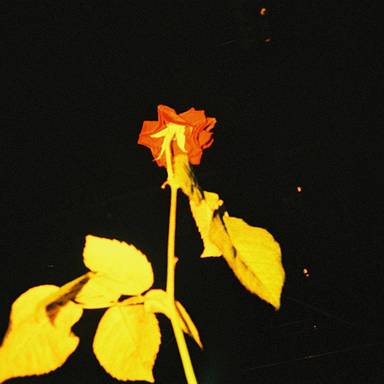 ataronchronon