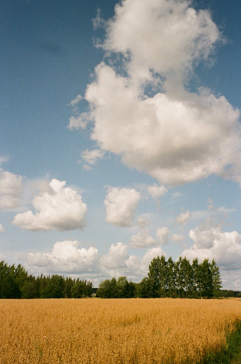 Camera: Olympus LT ZOOM 105 · Lomography