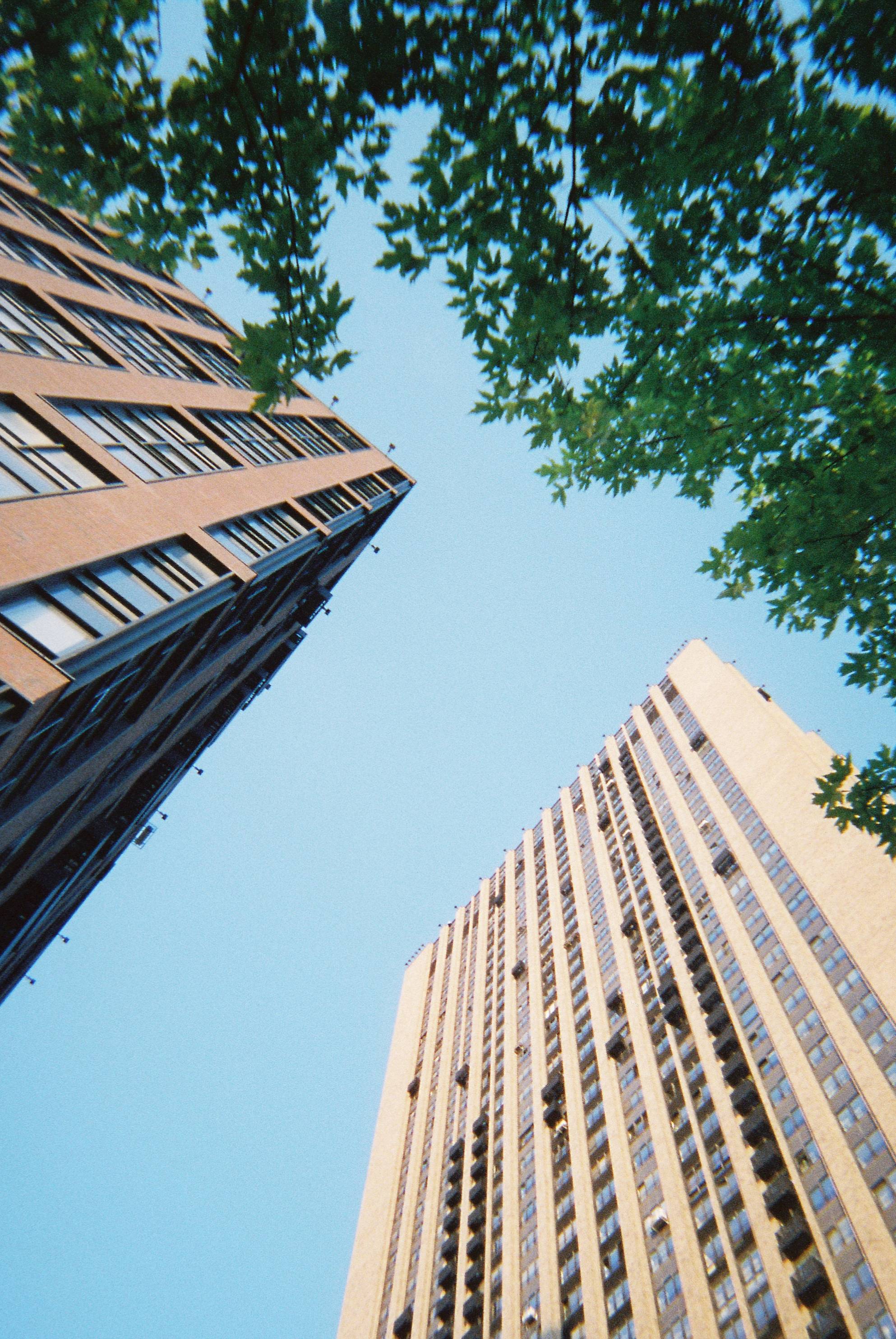 28313409 — melisska · Lomography