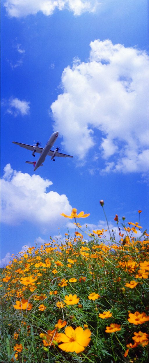 Vertical Sceneries