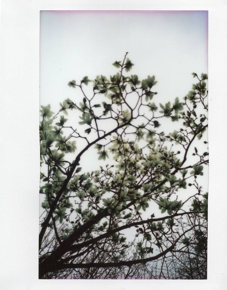 © 星星 | 使用 Lomo'Instant Wide Glass 宽幅玻璃镜头拍立得相机 拍摄