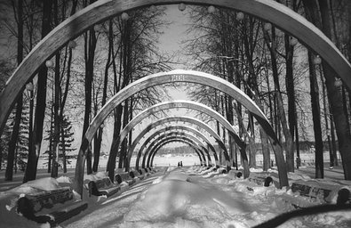 Camera: Fuji Cardia Travel mini II Dual-P · Lomography