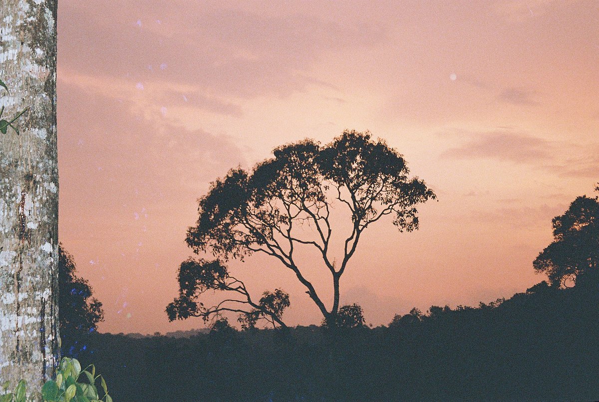 Idukki Kerala Stephy25 Lomography idukki-kerala-stephy25-lomography