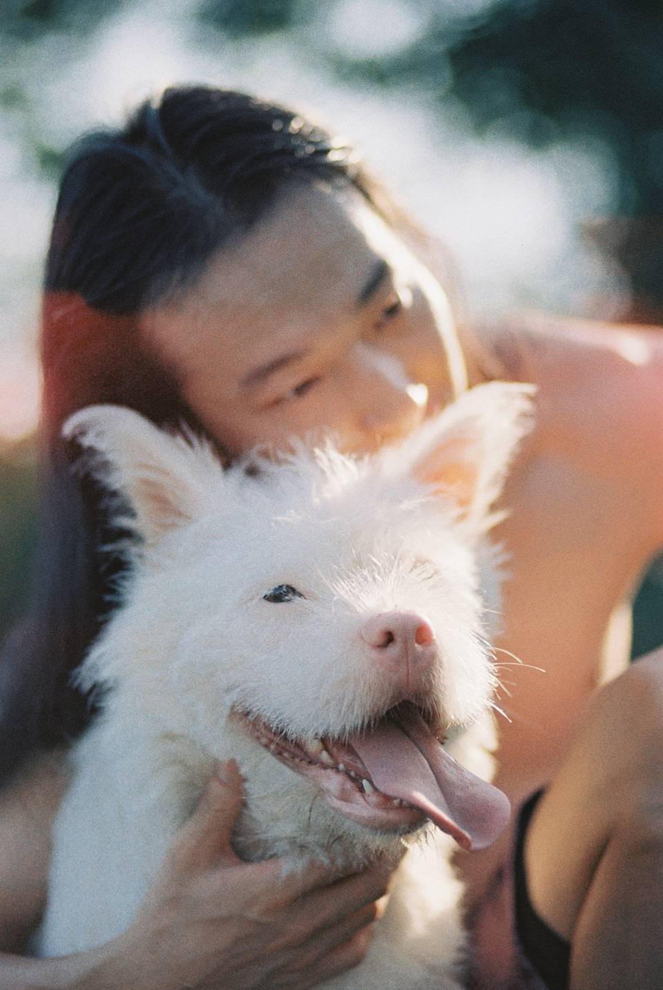 ©富貴 Faust ｜模特：符枭｜ LomoChrome Classicolor ISO 200 135 经典版彩色负片