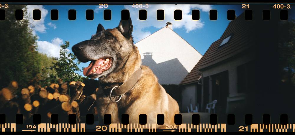 Photos by julientixier, ixe, somerabbits, jmcedo, solidsevn