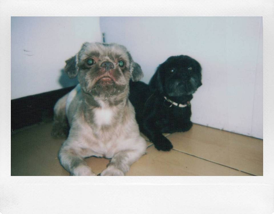 Left: Lomo'Instant Wide 宽幅拍立得相机 | Right: Lomo'Instant Wide Glass 宽幅玻璃镜头拍立得相机