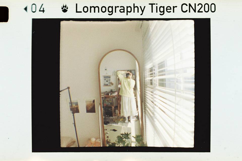 © 炉膛 | Diana Byby 110 胶片相机 &amp; Lomography Color Tiger 200 彩色负片