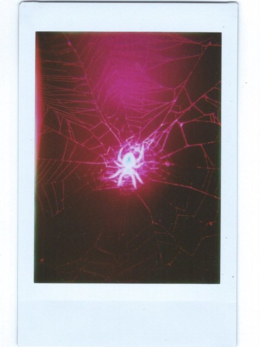 Tipster: Light Painting Experiments with the Lomo'Instant