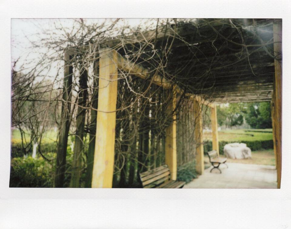 © 星星 | 使用 Lomo'Instant Wide Glass 宽幅玻璃镜头拍立得相机 拍摄