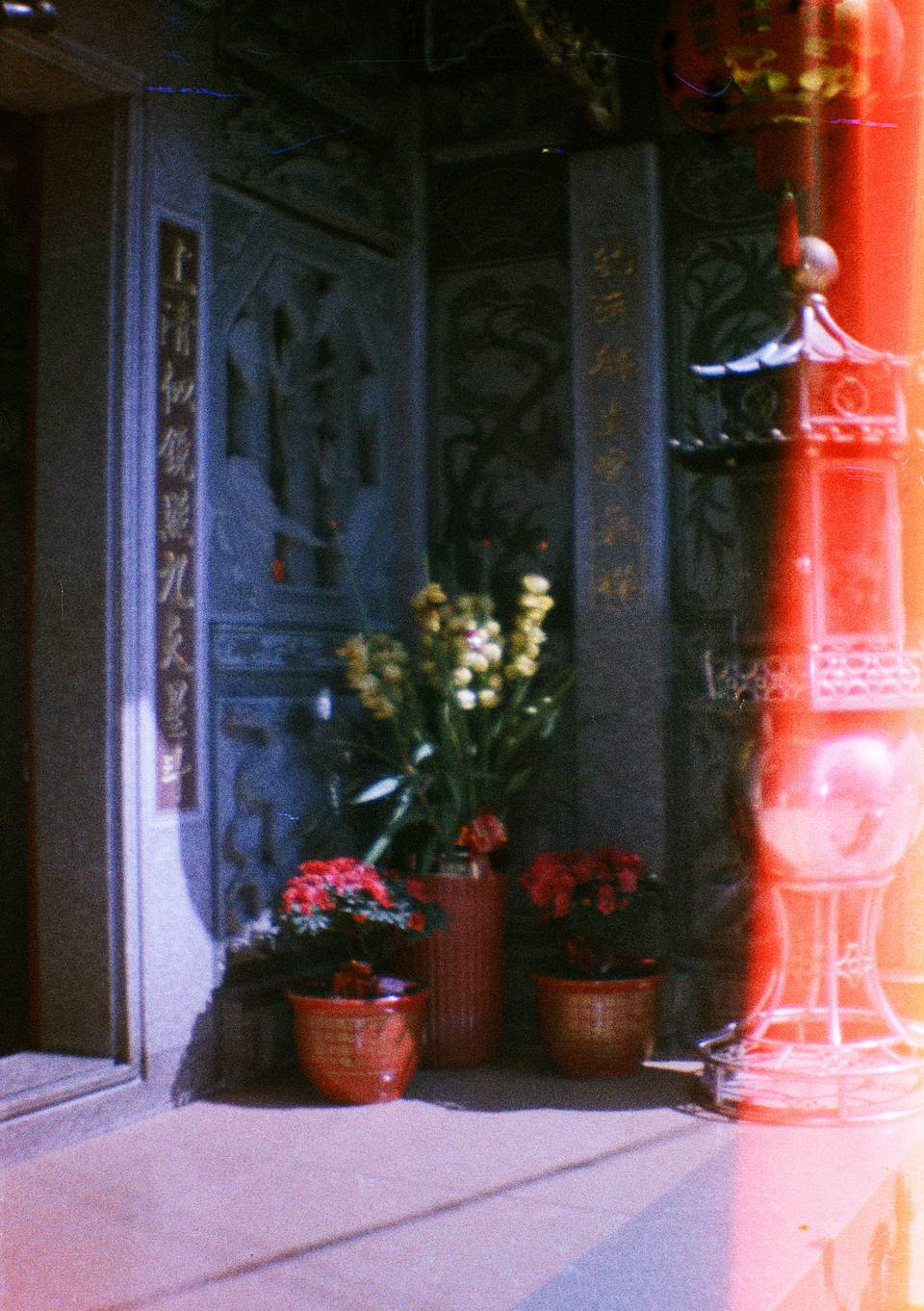 © 小蓝 | 使用 Lomourette 半格胶片相机连闪光灯 - Water Lilies莫奈睡莲特别版 &amp; LomoChrome Color '92 ISO 400 135 彩色负片拍摄