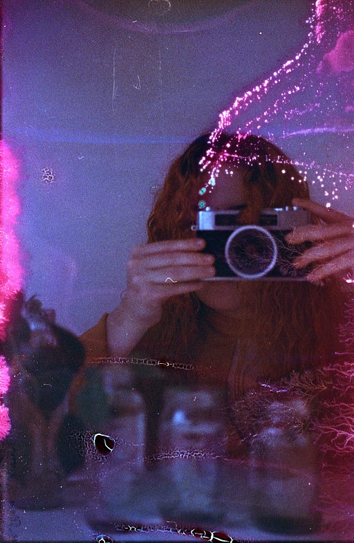 Fruits, Fungi, and Film—An Experiment by Clara Rodriguez