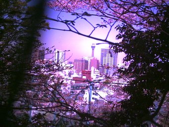 Camera: DIGITAL HARINEZUMI 1 · Lomography
