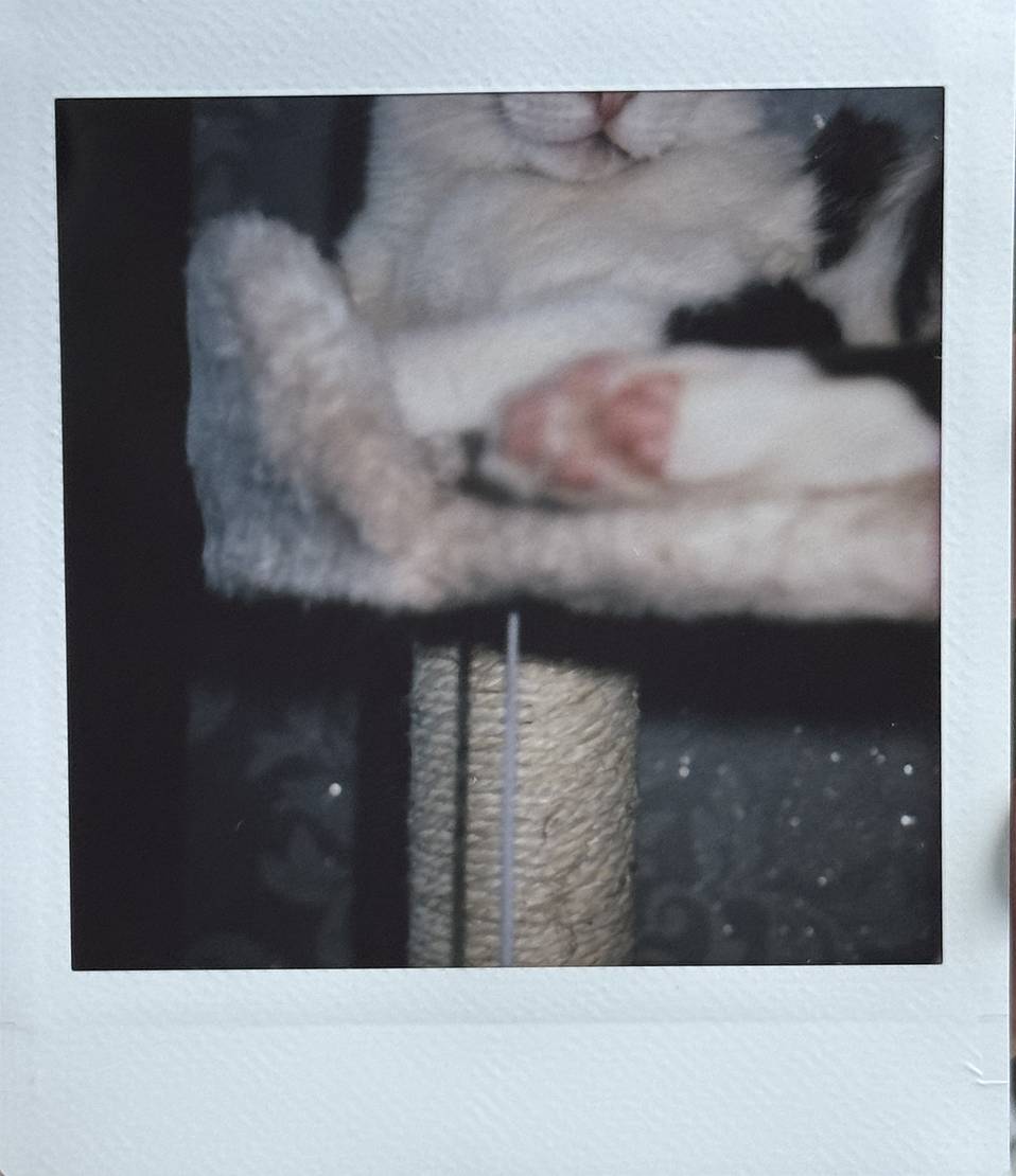 © Jacinta Luo | 使用 Lomo'Instant Square 方形拍立得相机套装－红色 拍摄