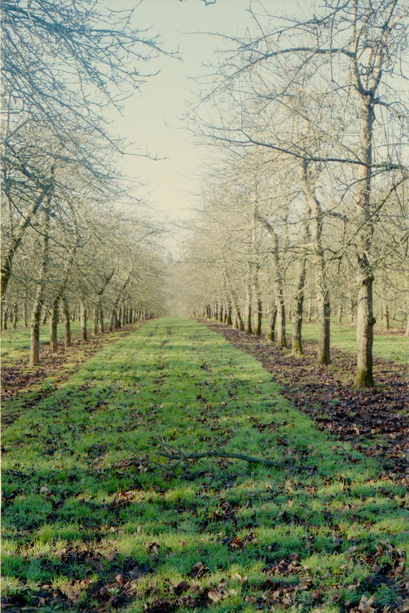 Lens: Konica Hexanon 48mm f2 · Lomography